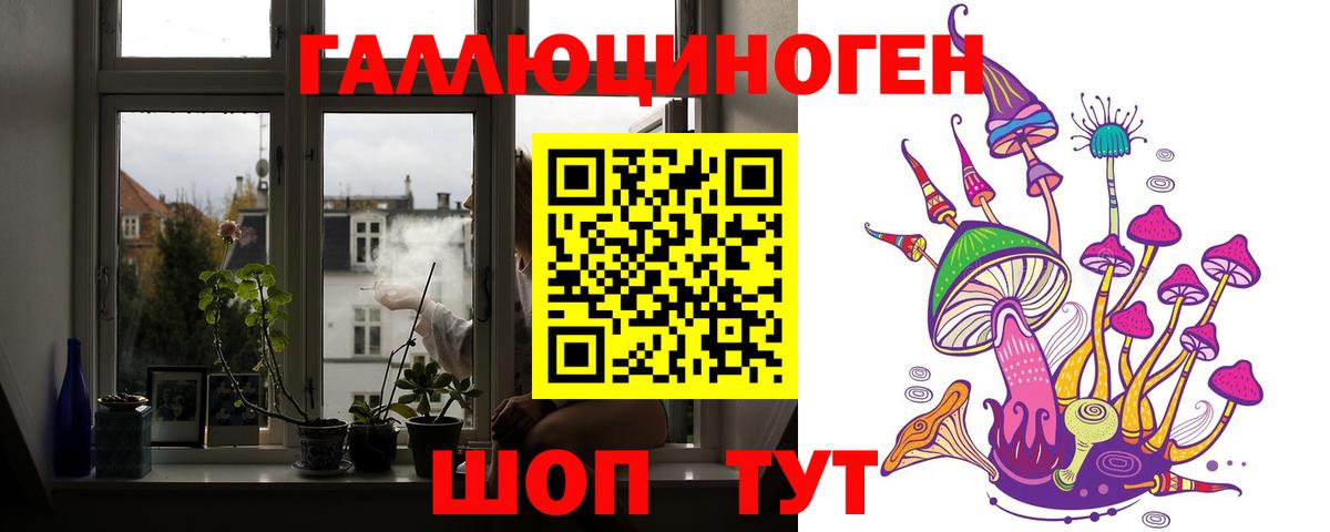 Псилоцибиновые грибы мухоморы Ачхой-Мартан